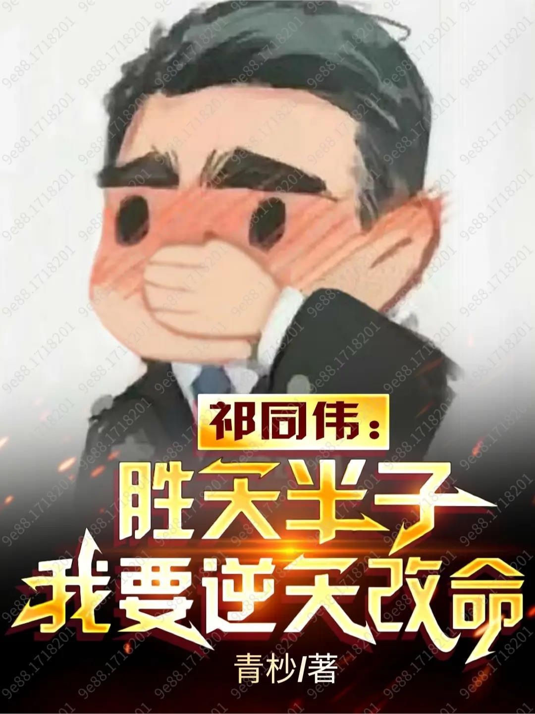 我入德国国家队